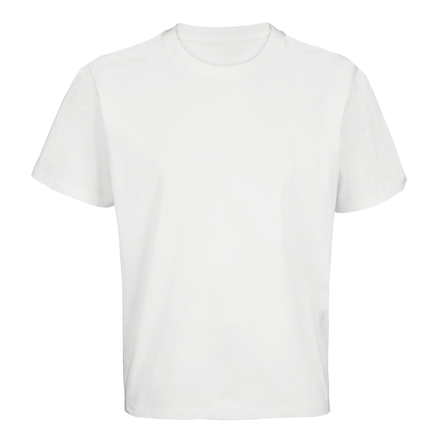 Chasing Stillness Oversized Tee